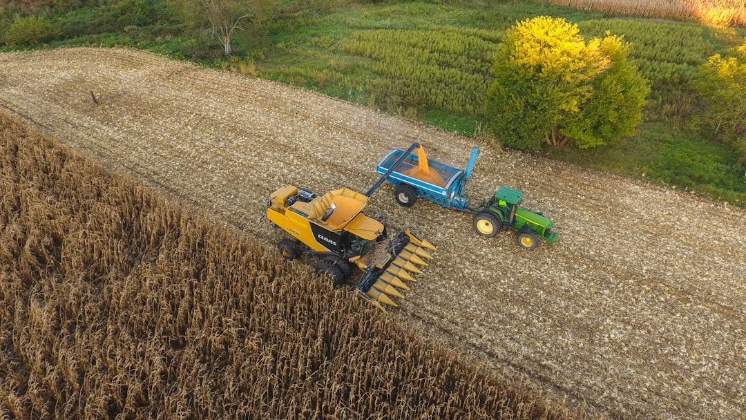 ITR em Alagoas: Como Declarar Corretamente e Evitar Multas no Imposto Rural